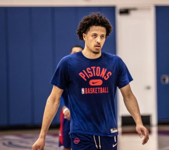 了多样化的 了多样化的